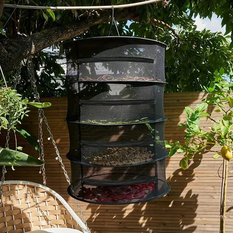 Hanging mesh food dehydrator rack suspended for optimal airflow drying