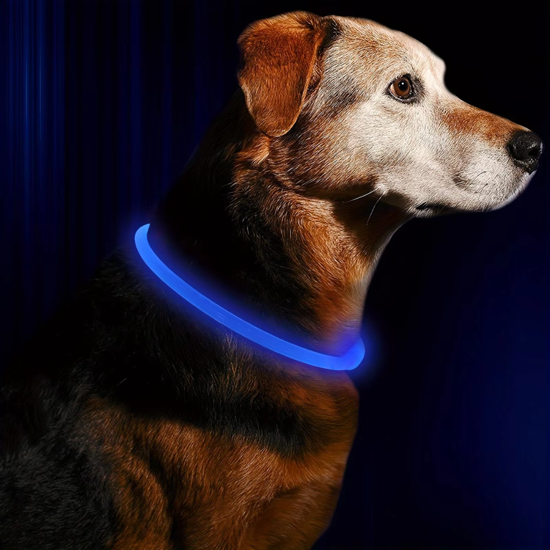 USB charging cable connected to glowing pet collar