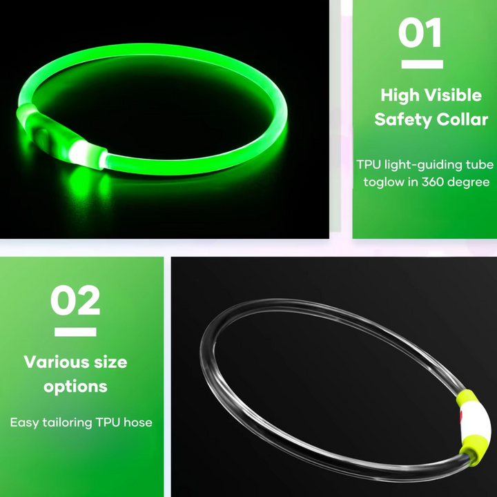 Bright glowing safety accessory for walking dogs at night