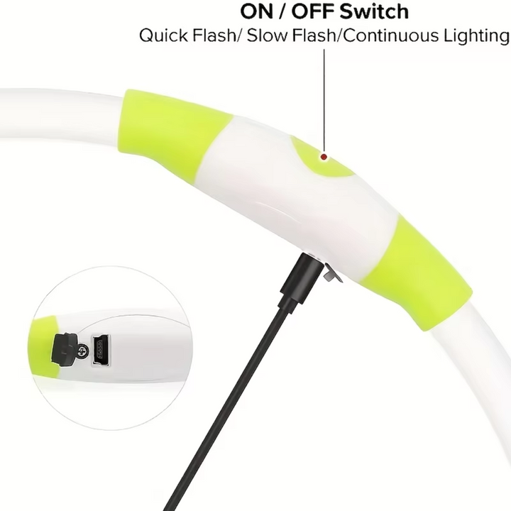 Pet safety LED collar lit up in vibrant color