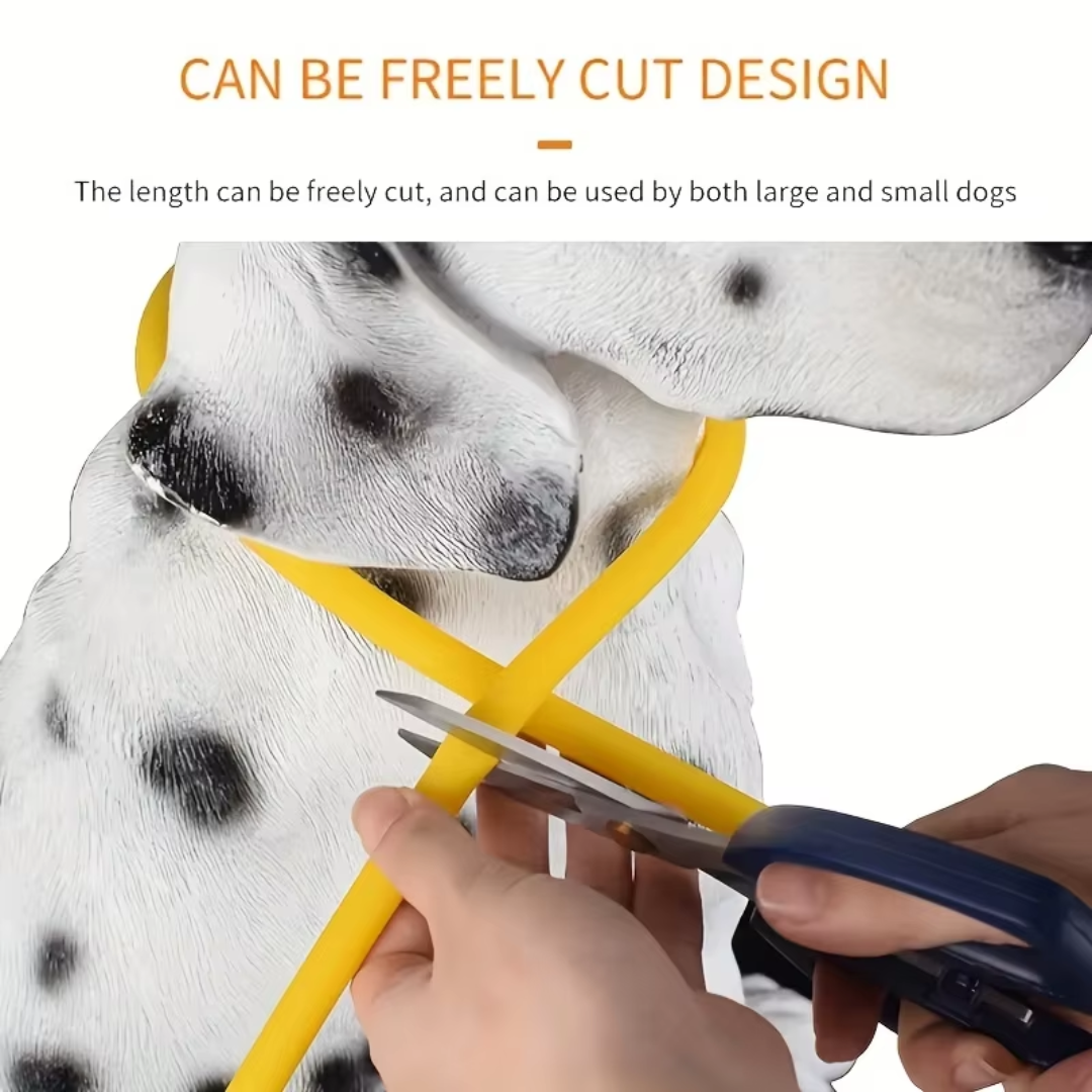 Night walking essentials USB rechargeable dog collar