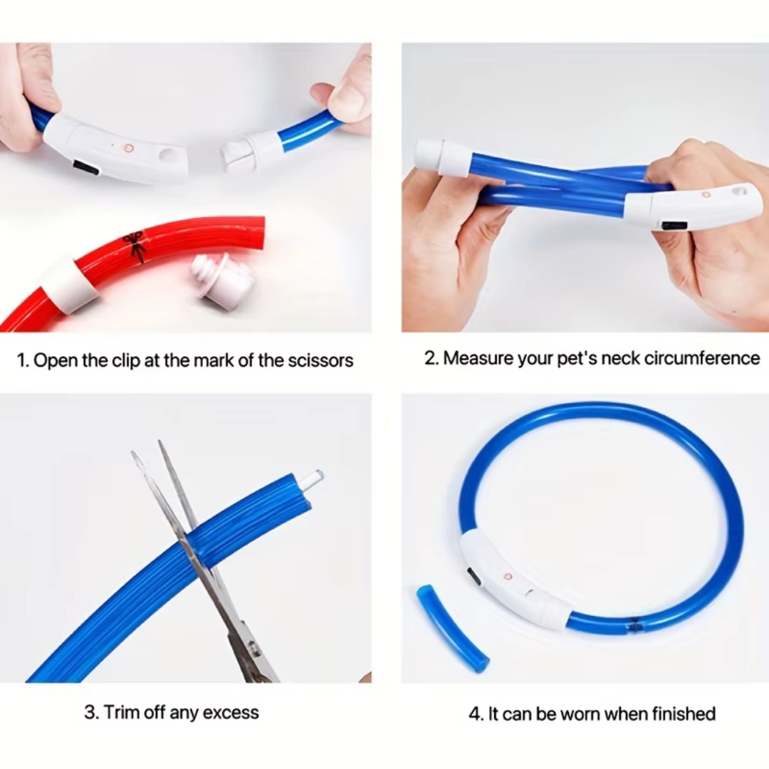 Water-resistant LED dog collar for all-weather walks