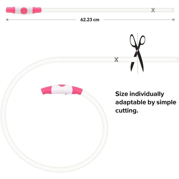 High-visibility pet collar with USB charging port