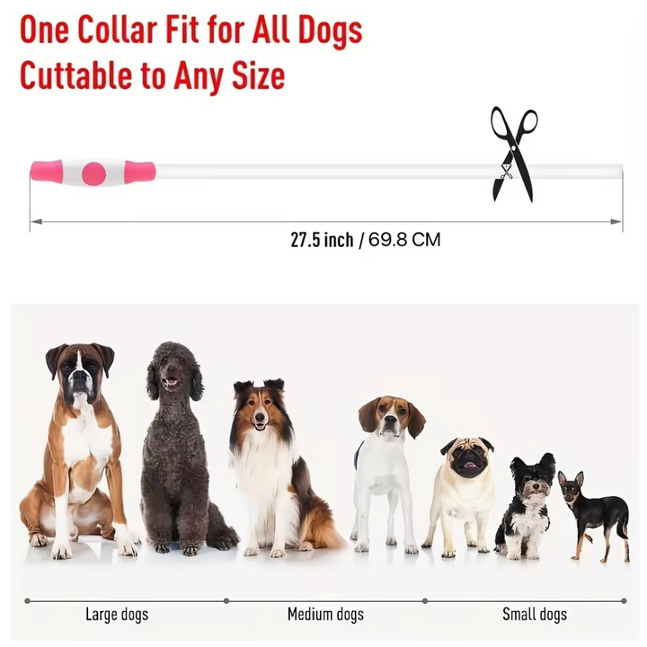 Flashing LED dog collar for nighttime outdoor safety