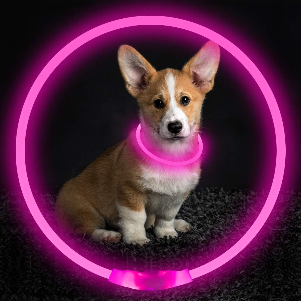 Safe night walking gear LED dog collar close-up
