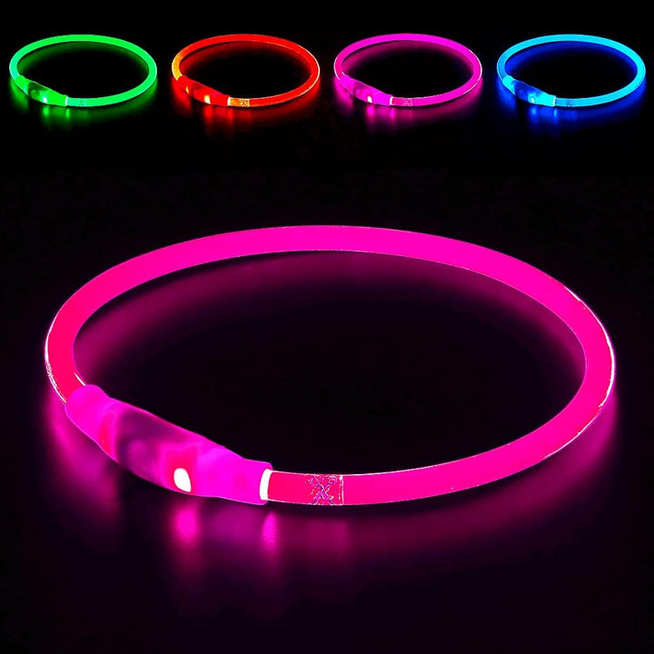 Bright neon LED dog collar for maximum road safety