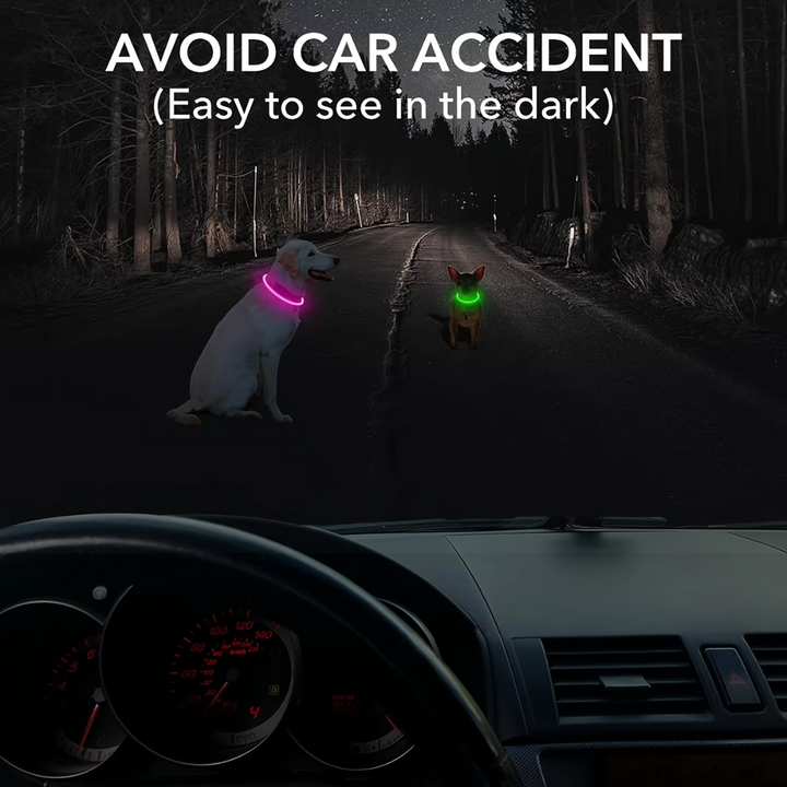 Glowing pet safety collar with bright LED lights