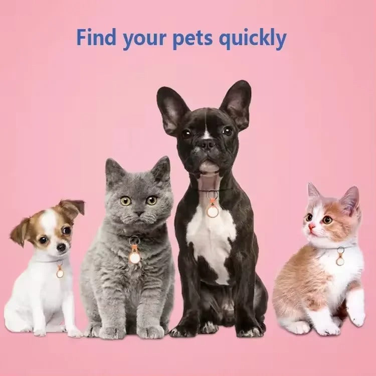 Assorted pets wearing small GPS tracker collars against a pink background
