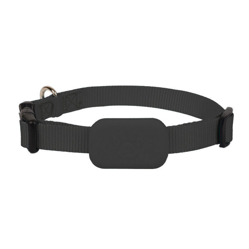 Black GPS pet tracker collar with paw print case