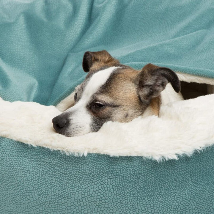 Cozy pet cave dog sofa providing a secure and warm sleeping nest