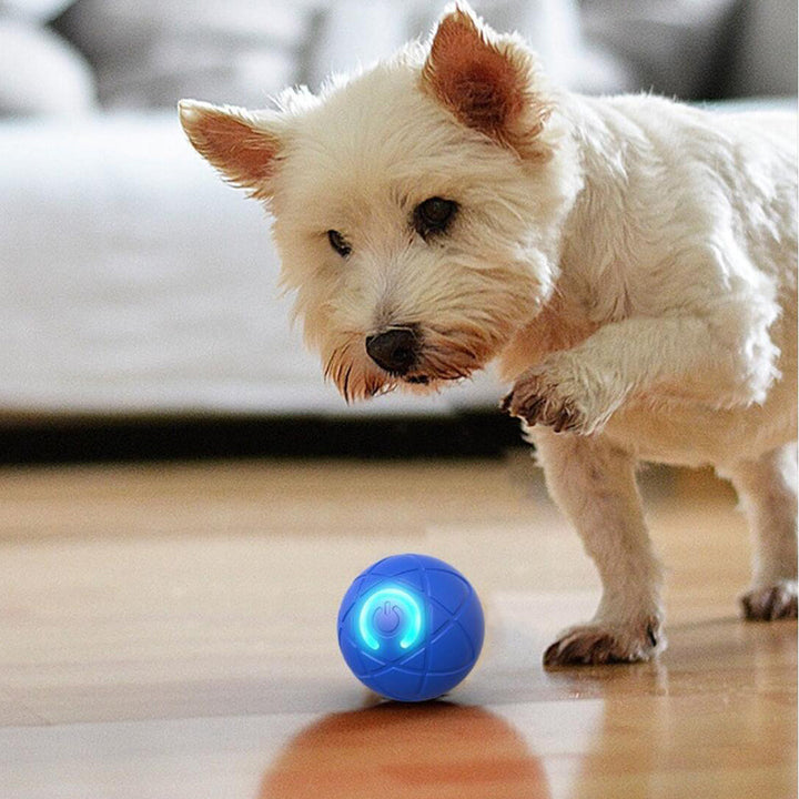 Interactive automatic pet toy ball in bright orange rolling on floor for dogs and cats