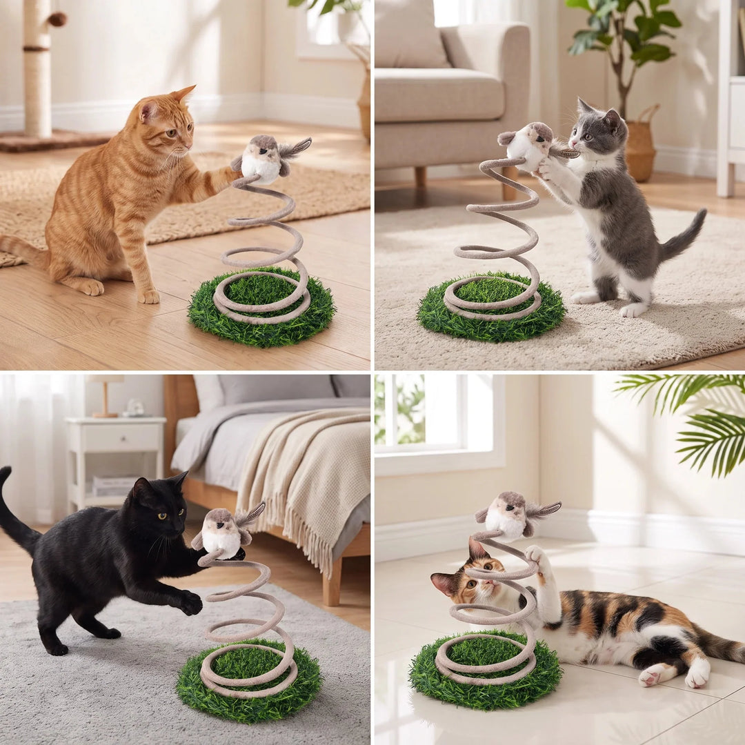 Collage showing different cats interacting with the spring bird toy in a home setting.