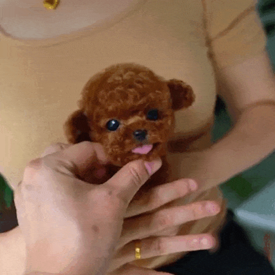 Box packaging for the kids toy robotic puppy pet