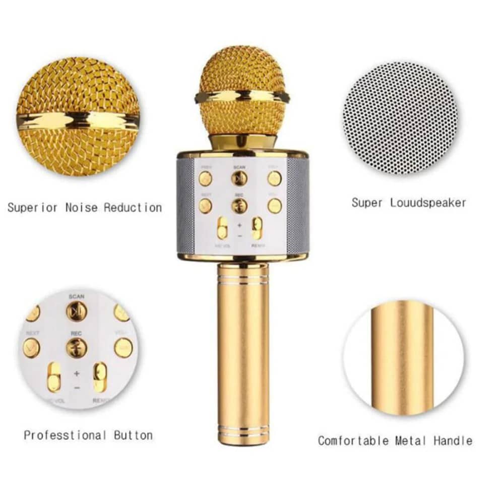 Portable bluetooth mic and speaker combo for mobile karaoke performance