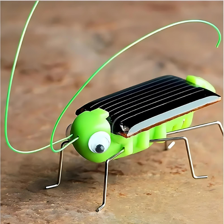 Close-up shot of a single green solar grasshopper toy showing its solar panel and metal legs on a textured surface