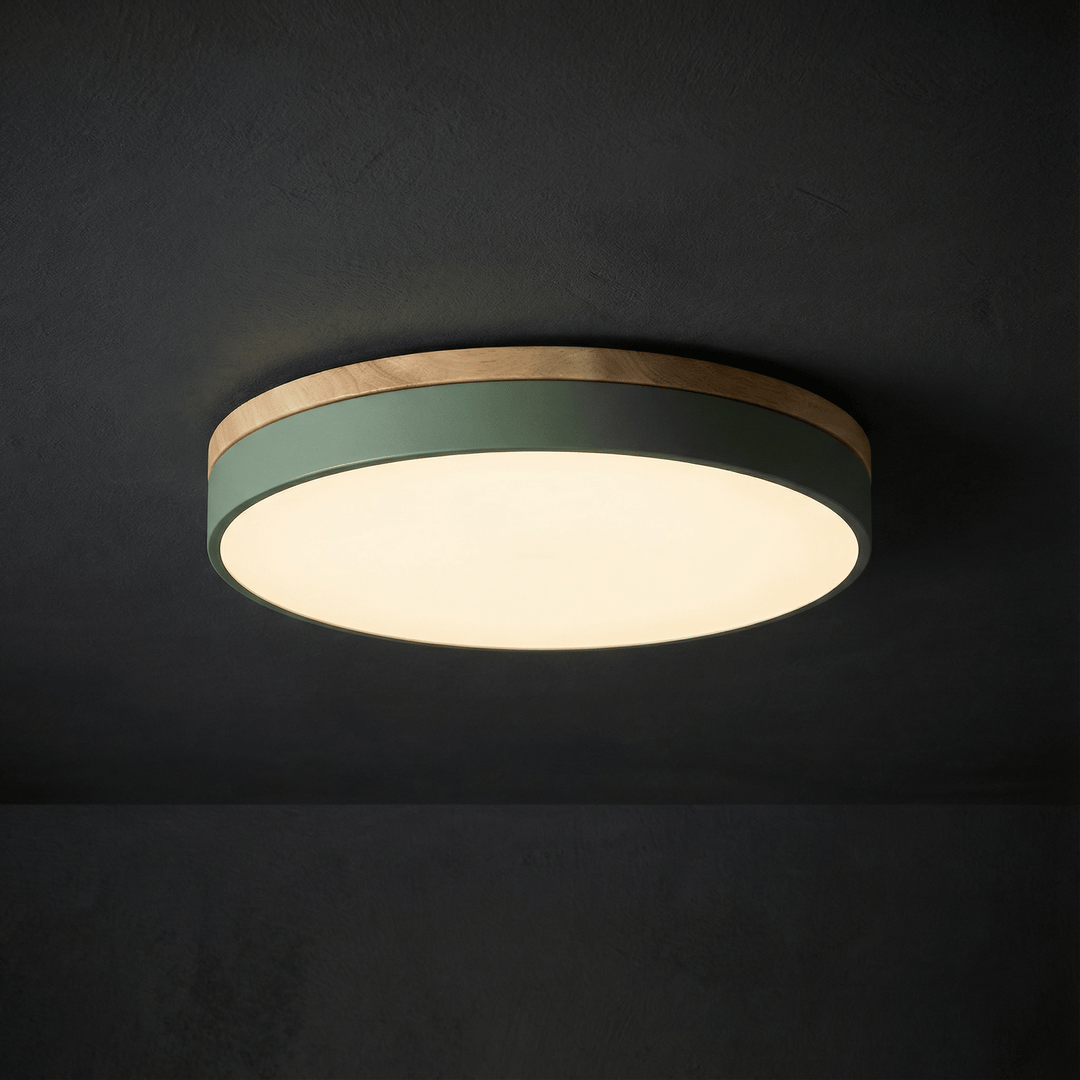 Flush mount LED ceiling light with sleek contemporary design and remote