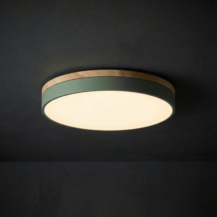 Flush mount LED ceiling light with sleek contemporary design and remote