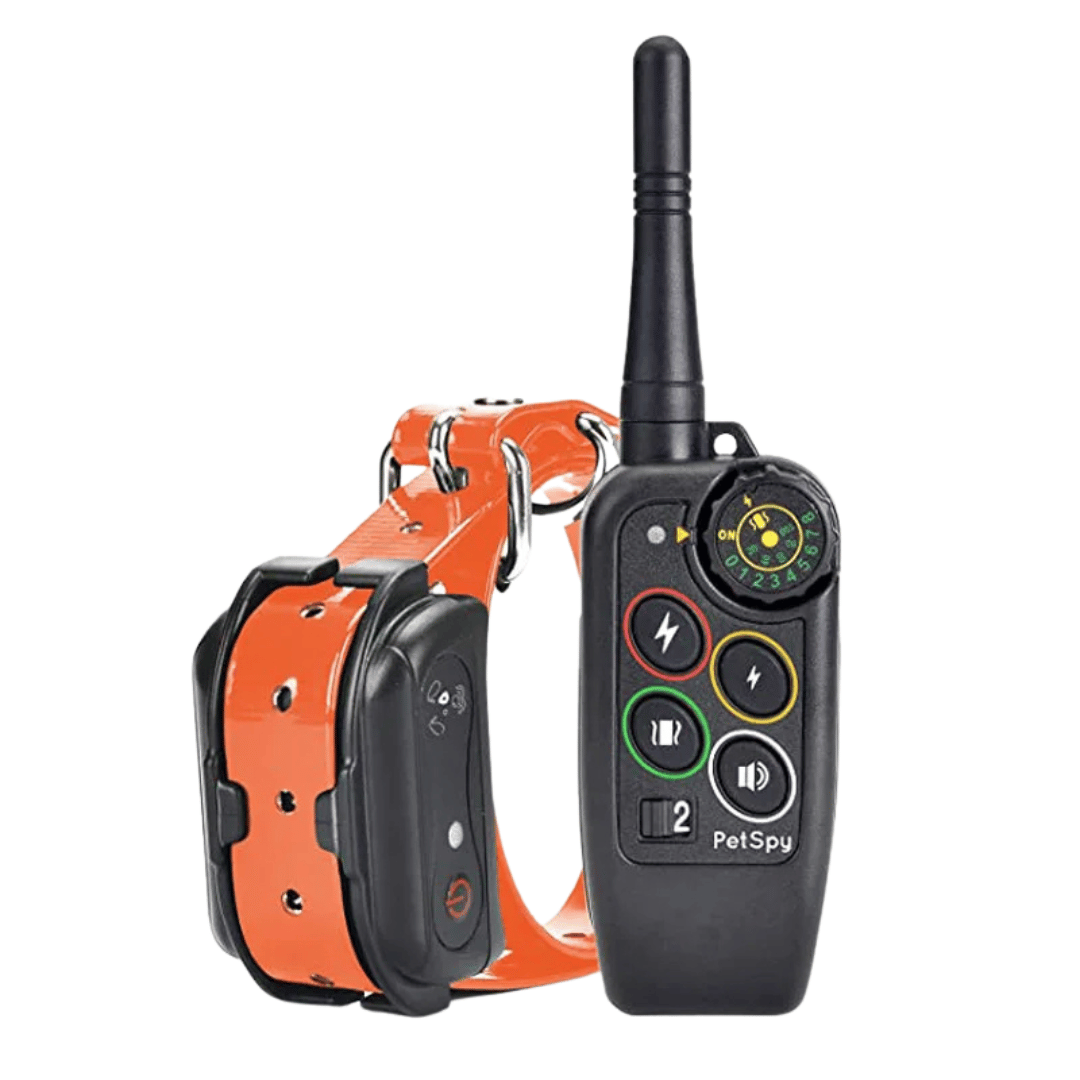 Orange dog training collar and remote control unit