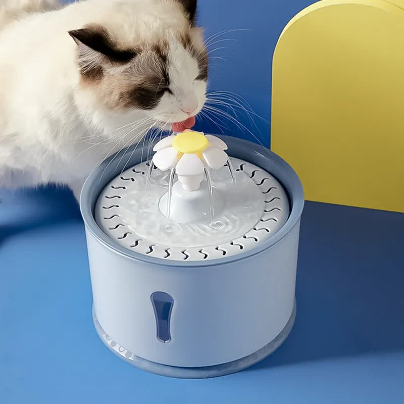 Cat drinking from the blue PawOasis pet water fountain