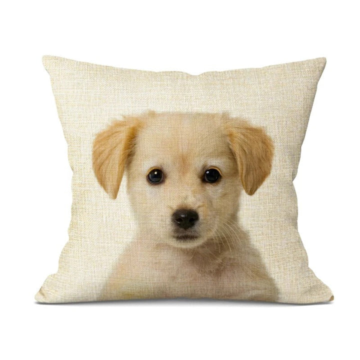 Decorative throw pillow accentuating a modern armchair setup