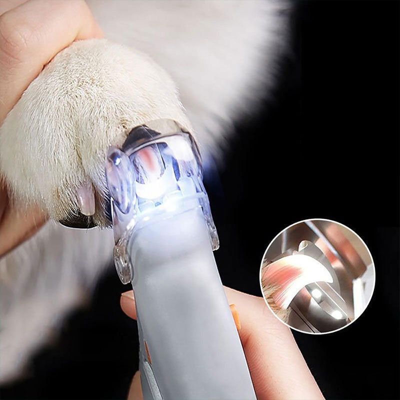 Close-up of LED pet nail clipper illuminating a dog's claw