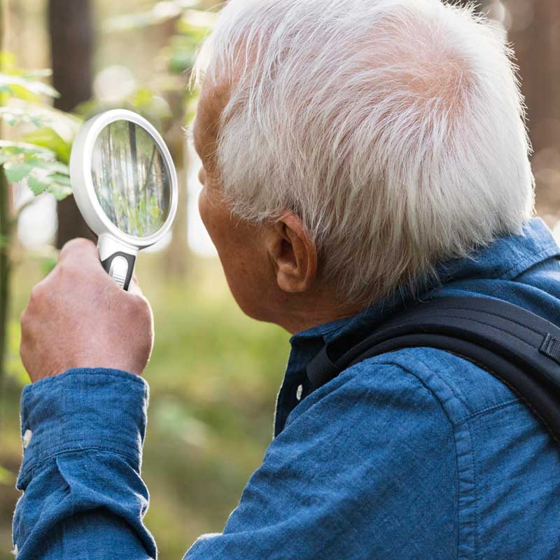 Optical craft tool magnifying glass with energy-efficient LED light