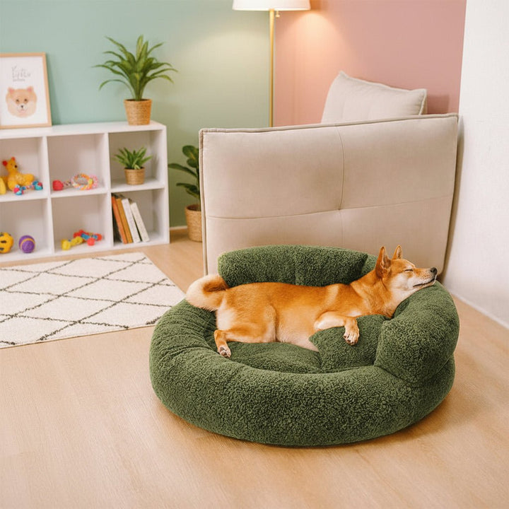 Small puppy resting comfortably inside a cozy round orthopedic pet bed in a living room