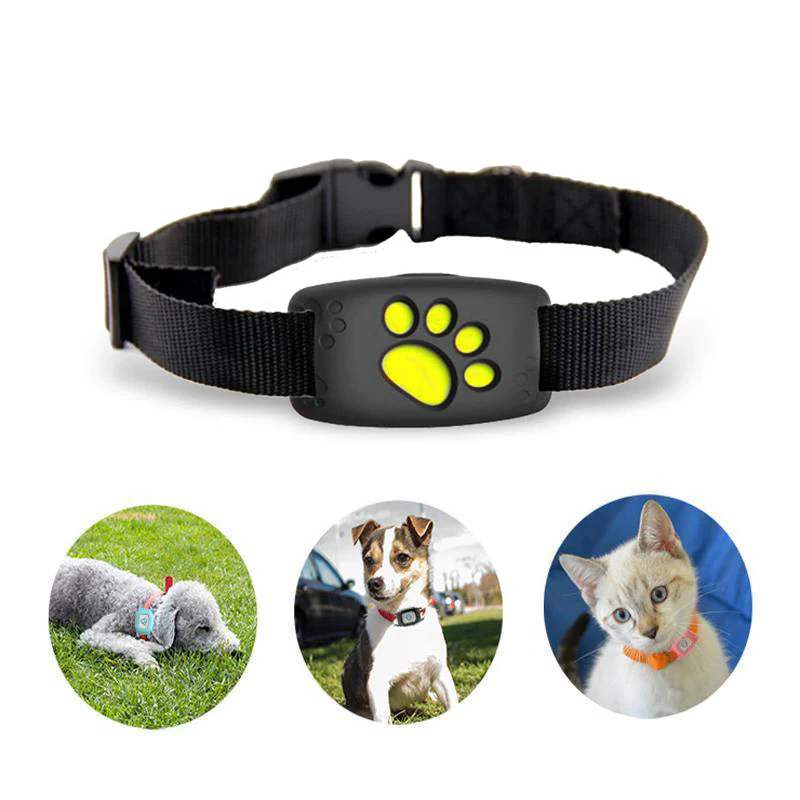 Smart GPS pet tracker collar in black worn by dogs and a cat outdoors