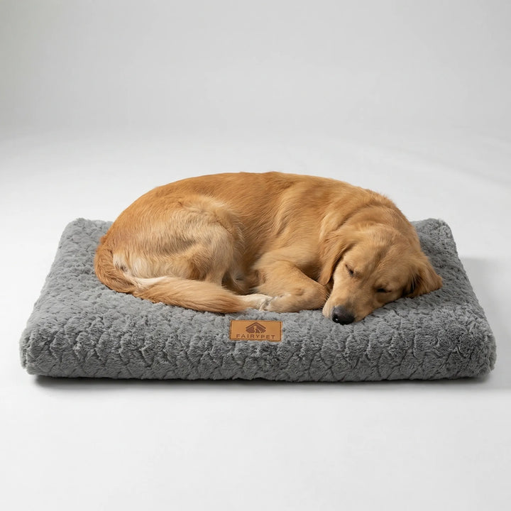 Golden retriever resting peacefully on a gray orthopedic foam dog mat in a studio setting