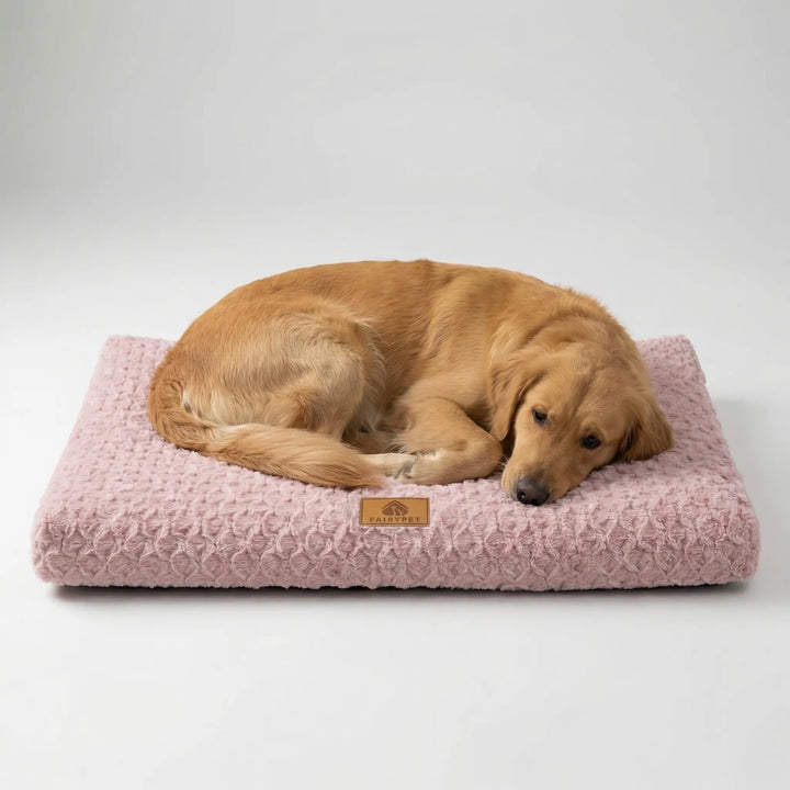 Orthopedic foam dog mat providing joint support for senior dogs
