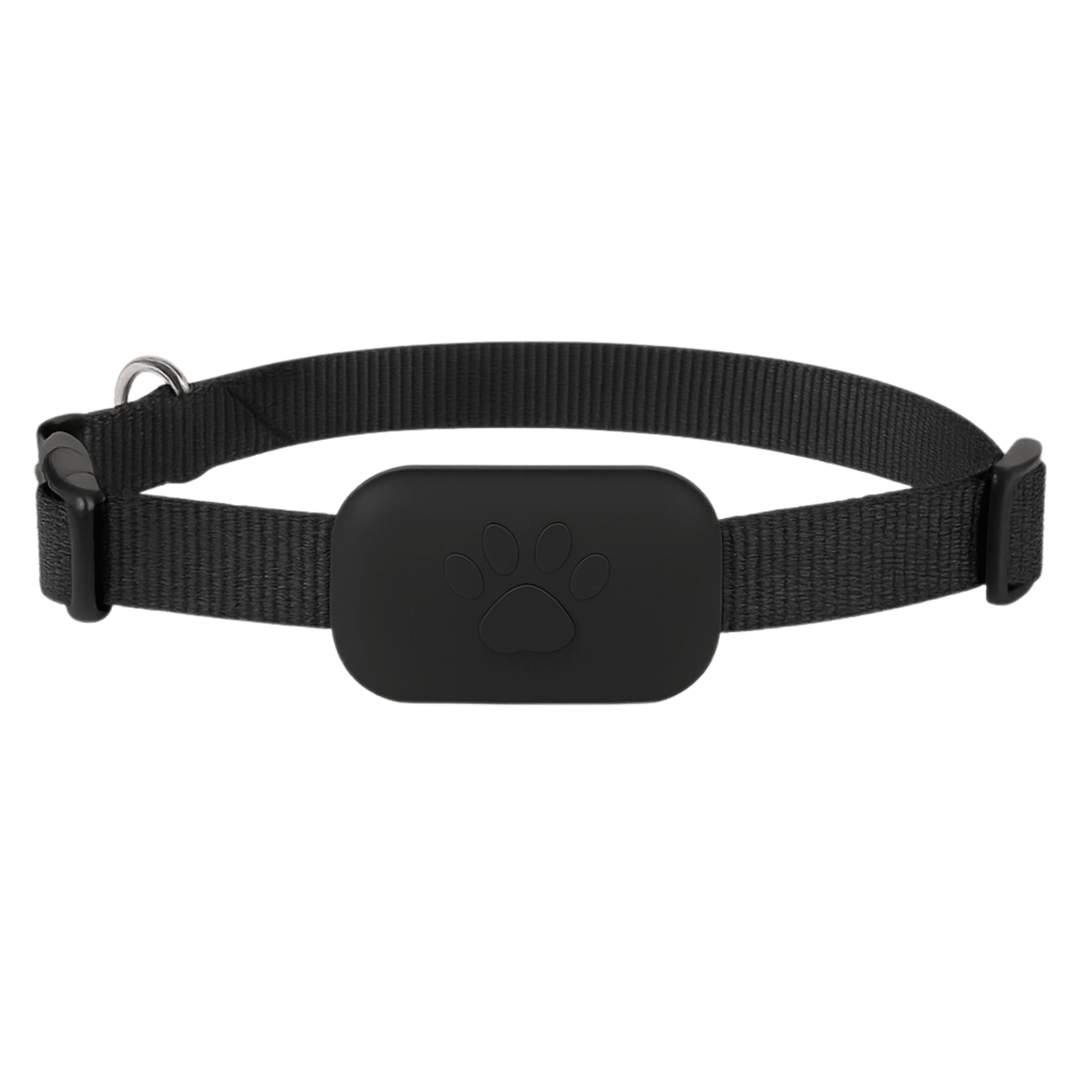Black pet GPS tracker collar with paw print detail