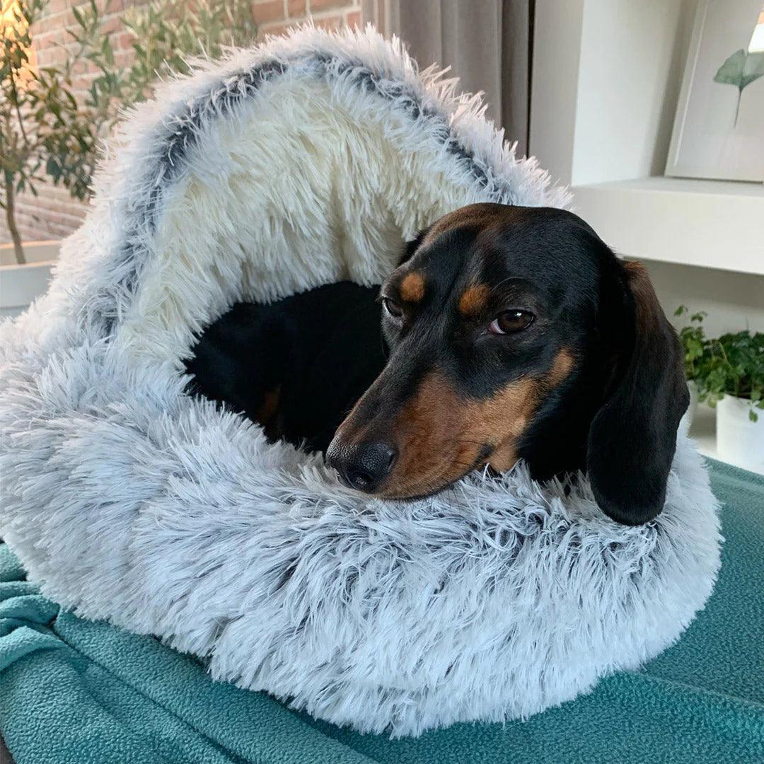 Black dachshund resting comfortably inside a gray plush LuxePet cave bed