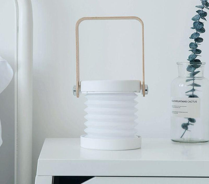 Portable lantern with adjustable brightness settings