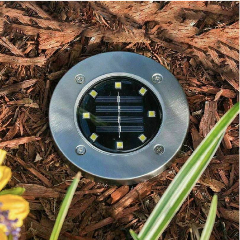 Detailed view of the EcoGlow solar panel surface and LED bulbs