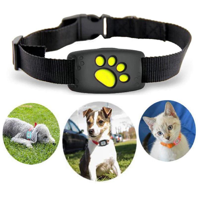 Black smart GPS pet collar with paw print design and pets wearing collars