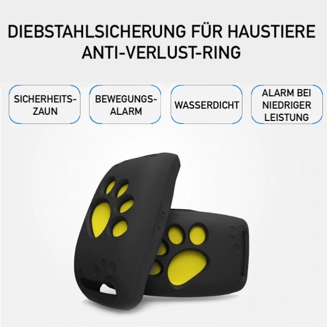 Smart GPS cat collar showing mobile app location tracking interface