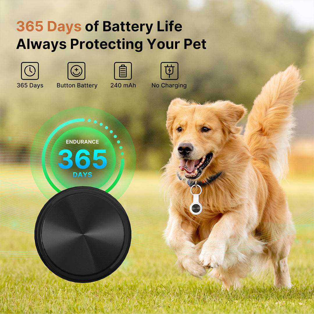 Mini wireless GPS locator for cats and dogs shown on a clean white background