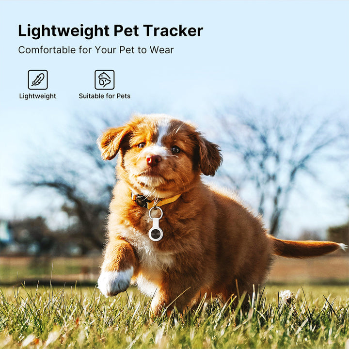 Dog tracker unit mounted on a durable collar strap for hiking and outdoor adventures