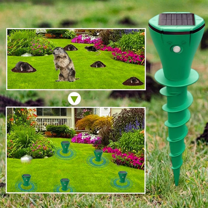 Eco friendly landscape accessory and solar yard tool for comprehensive garden care