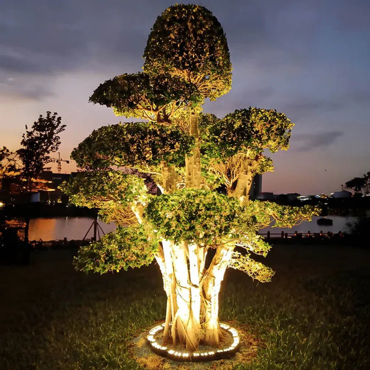 Outdoor garden tree illuminated at night by a circular solar spotlight
