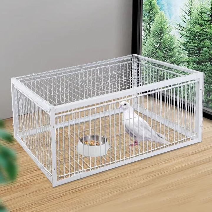 Full view of the white metal bird trap set up indoors with bait bowl