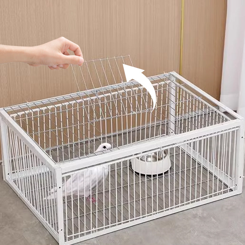 Humane bird trap exterior view showing sturdy metal mesh and live capture design