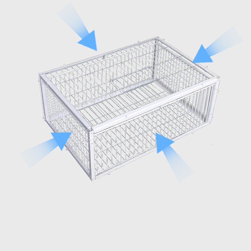 Portable live trap for birds placed on a lush green lawn