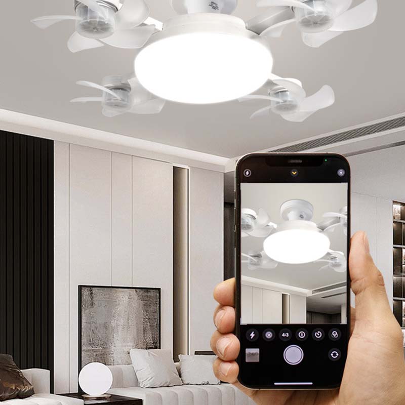 Handheld remote control for adjusting LED ceiling fan speed and lighting settings