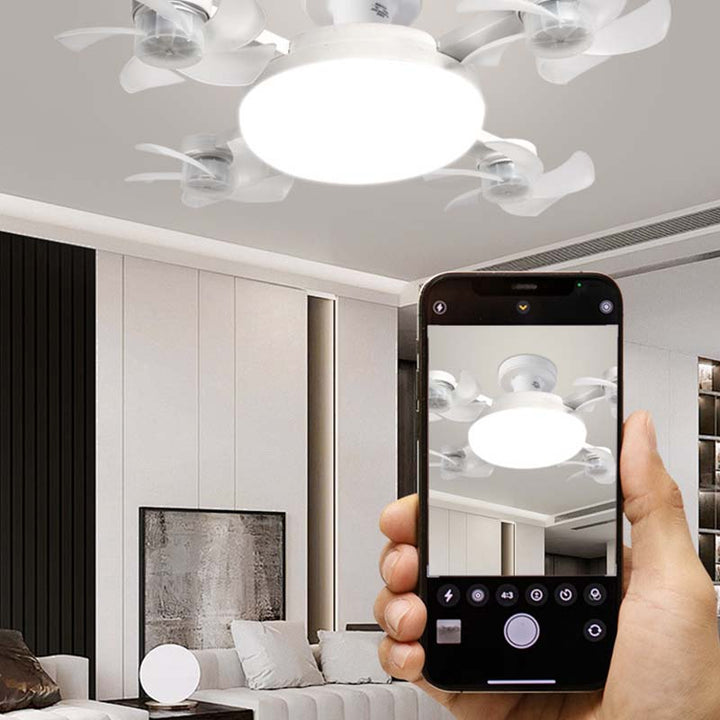 Handheld remote control for adjusting LED ceiling fan speed and lighting settings