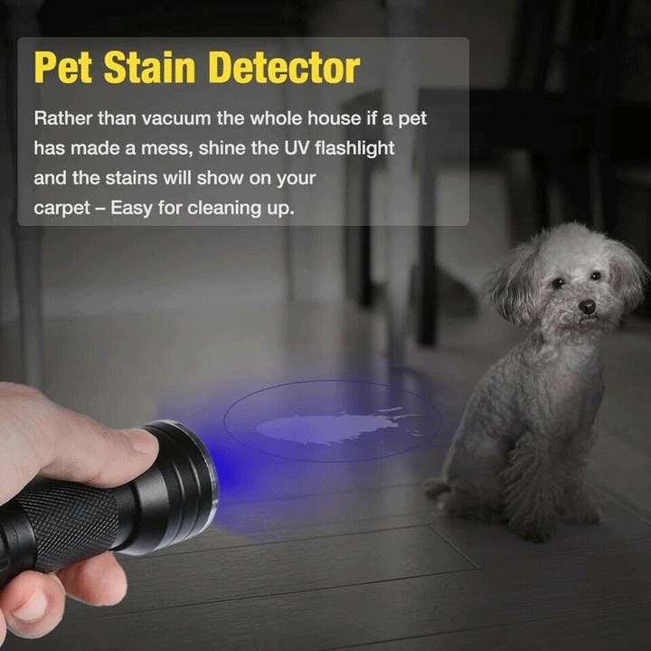 Handheld UV blacklight LED flashlight highlighting hidden stains and scorpion glowing