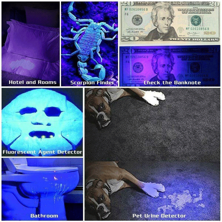 Portable 395nm LED UV flashlight beam showing fluorescent minerals and pet accidents