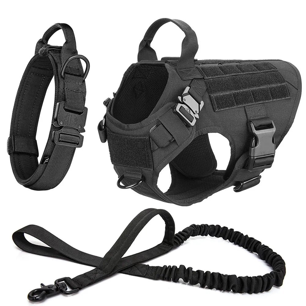 No-pull dog harness and training kit components laid out flat