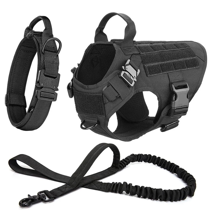 No-pull dog harness and training kit components laid out flat