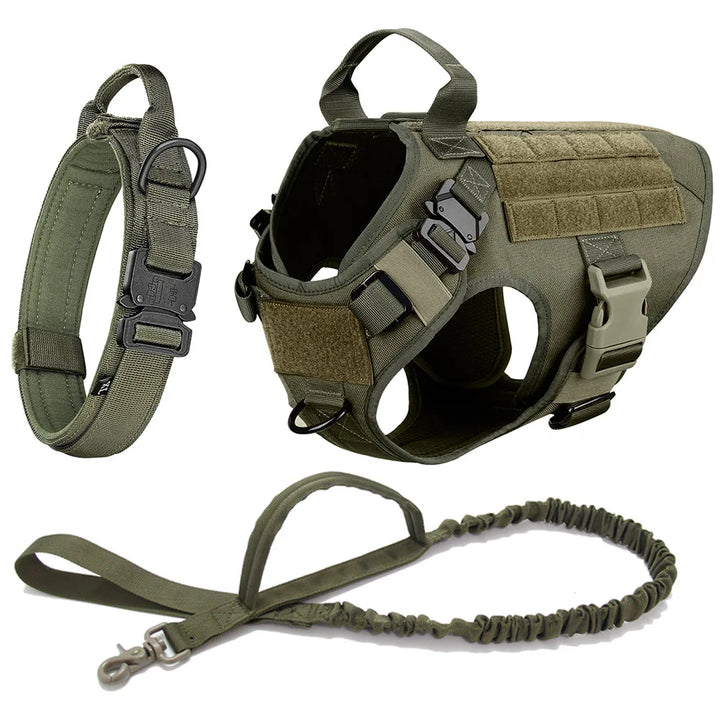 Heavy-duty dog vest featuring modular webbing for pouches